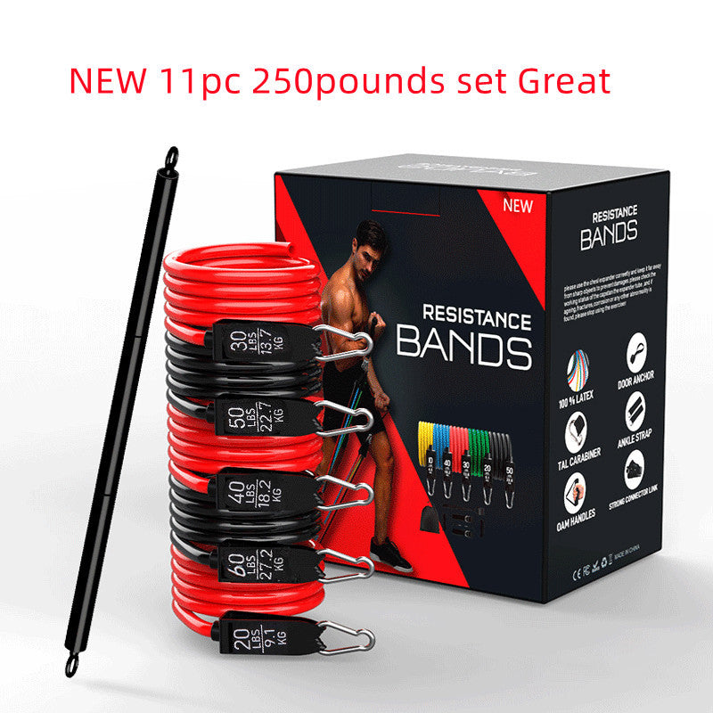 new-11pc-250pounds-set-great